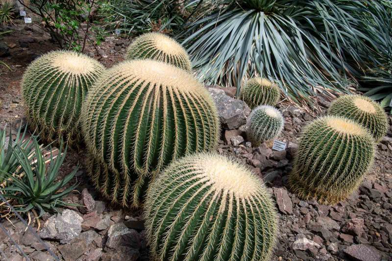 Botanická zahrada Liberec