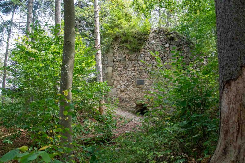 Příběnice – zřícenina hradu nad Lužnicí