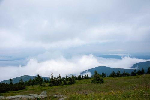 Praděd – král Jeseníků